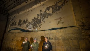 Plattegrond van tien bij vier meter van de complete Sint Pietersberg: monnikenklus is geklaard 