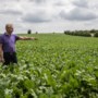 ‘Zuid-Limburgse boeren doen al veel tegen wateroverlast’