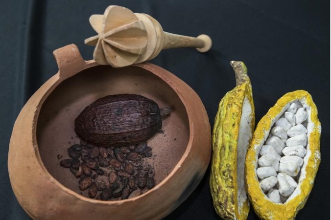 De ‘high’ van chocola, maar dan zonder de calorieën: dankzij deze uitvinding van Akense wetenschappers kan het