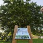 Dankzij het boompaspoort weten Weertenaren nu dat de beuk aan de Windmolen het koelvermogen van achttien airco’s heeft