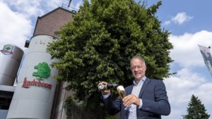 Limburgse biermerken: zo komen Alfa, Hertog Jan en Lindeboom aan hun naam