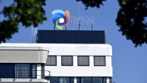 Verhuizing hoofdkantoor DSM: het is de hoogste tijd voor meer chemie tussen Heerlen en Maastricht