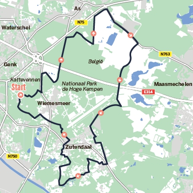 Fietsen door de Hoge Kempen: groen en paars zo ver je kijken - De  Limburger Mobile
