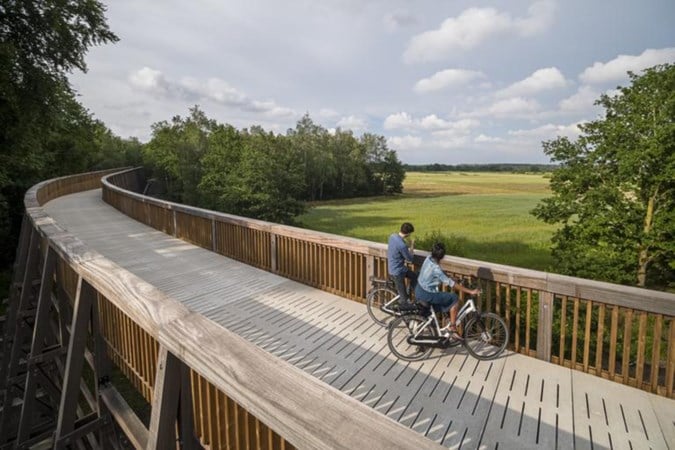 Fietsen door de Hoge Kempen: groen en paars zo ver je kijken kunt