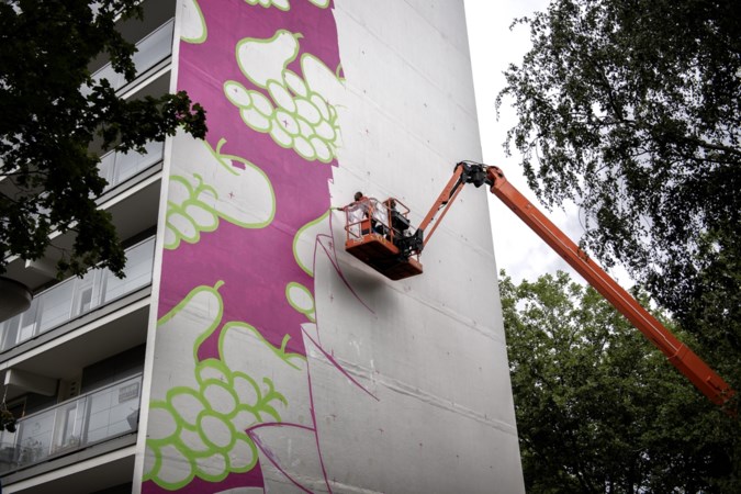 Fruit verbindt Heerlen met Detroit: voorlaatste mural XXL Gallery in de maak