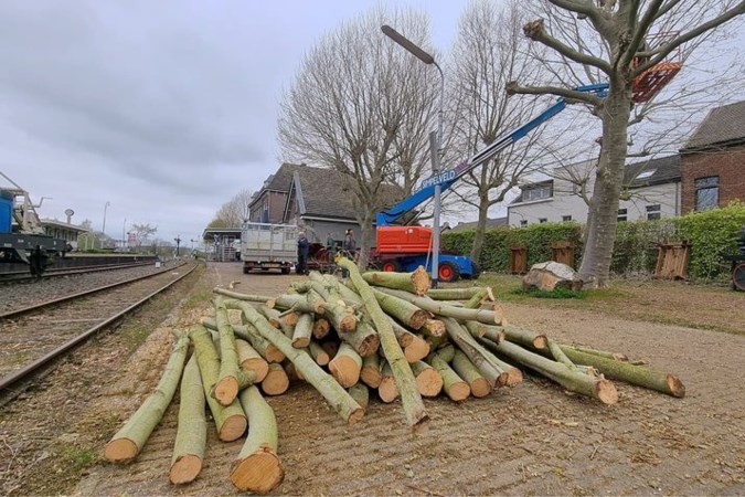 Horst aan de Maas werkt niet meer mee aan plannen voor biomassacentrales die hout verwerken; daar zijn er al te veel van