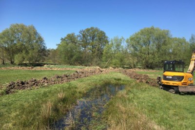 Eerste resultaten klimaatproject: Koekoeksbloem en moerassprinkhaan laten zich vaker zien in Geuldal