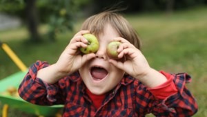 Kun je van appelpitten doodgaan en wat betekent het Apple-logo? Lees alles over ons favoriete fruit
