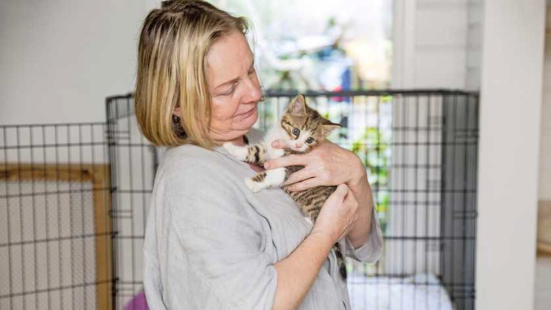 Deze katten wachtte eigenlijk een spuitje, maar Arianne besloot ze te redden