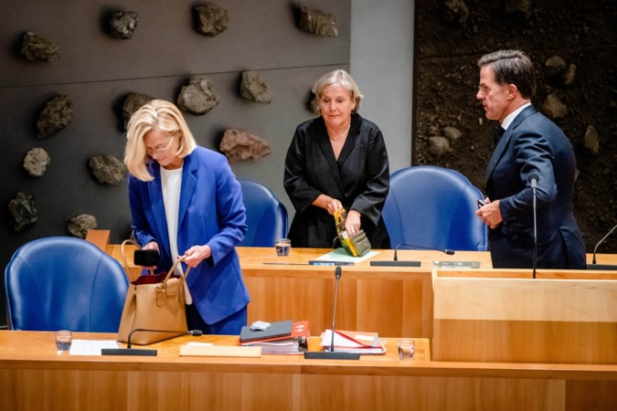 Commentaar: Hoe hoog is het ‘plucheplakkers’-gehalte van Sigrid Kaag en Mark Rutte?