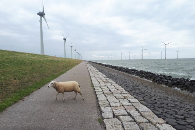Drie weken fietsend Nederland door: op het stalen ros komt aan alles een eind, zolang je maar doortrapt