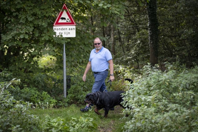 Wandelaars aangevallen door wilde zwijnen: buurtbewoners durven het bos niet meer in