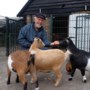 Jac Bensch (80) is al 25 jaar vrijwilliger bij kinderboerderij in Stramproy: ‘Niks sjoeëners as tusse de bieëste zitte’