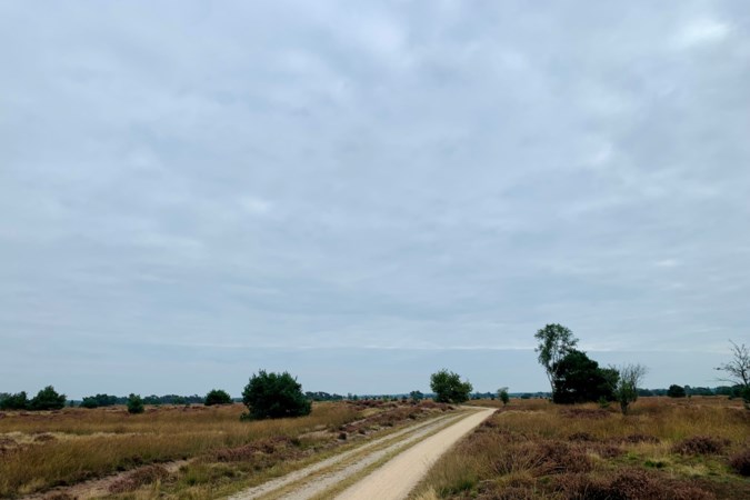 Uitfietsen: Knisperend gravel en fijne paadjes
