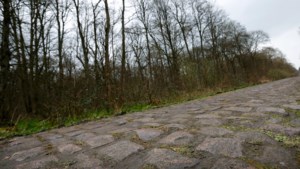Na 125 jaar beleven de wielrensters hun vuurdoop in Parijs-Roubaix: ‘Eindelijk respect en erkenning’