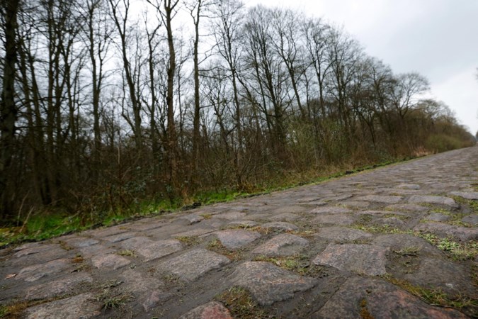 Na 125 jaar beleven de wielrensters hun vuurdoop in Parijs-Roubaix: ‘Eindelijk respect en erkenning’