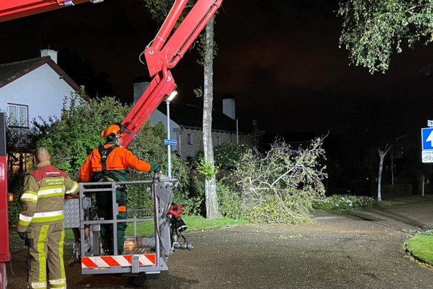 Bomen waaien om door eerste herfststorm in Limburg, schade valt mee