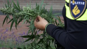 Burgemeester Hessels laat drugspanden sluiten in Echt en Susteren