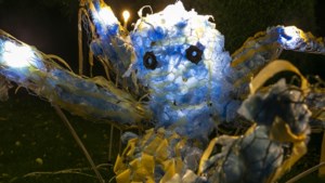 Kunst van Venlose scholieren op lichtfestival in Arcen vraagt aandacht voor klimaat: ‘Het heeft me aan het denken gezet’