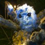 Kunst van Venlose scholieren op lichtfestival in Arcen vraagt aandacht voor klimaat: ‘Het heeft me aan het denken gezet’