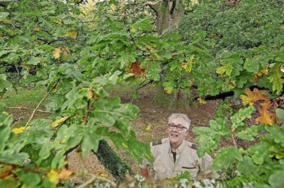 Dit is waarom er nog zoveel blaadjes aan de boom zitten: ’We lopen achter’