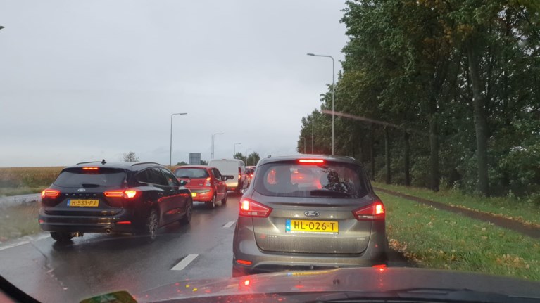 Windstoten en regen zorgen voor lange files; boom valt op woning in Maastricht