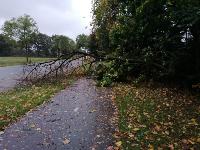 Windstoten en regen zorgen voor lange files; boom valt op woning in Maastricht