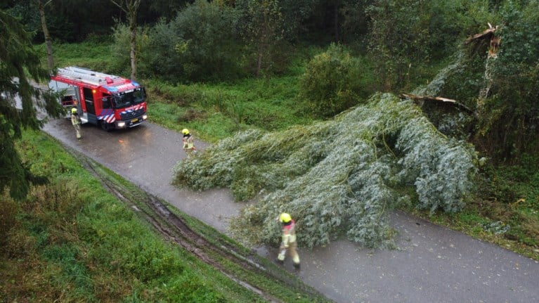 Windstoten en regen zorgen voor lange files; boom valt op woning in Maastricht