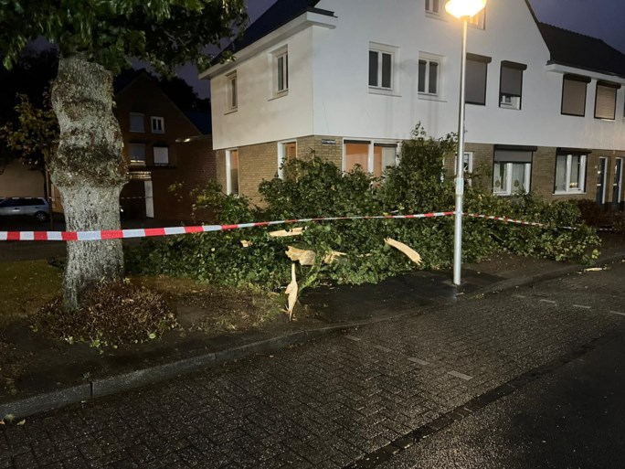 Windstoten en regen zorgen voor lange files; boom valt op woning in Maastricht