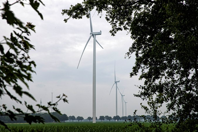 ‘Klimaatdoelen in gevaar als milieunormen voor windmolens te ingewikkeld worden’
