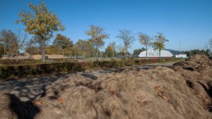 Roep om actie in Park Strijthagen, dat als stortplaats wordt gebruikt: ‘Verloedering werkt onveiligheid in de hand’