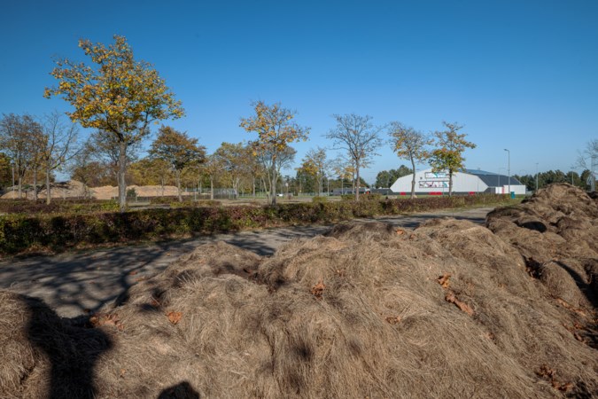 Roep om actie in Park Strijthagen, dat als stortplaats wordt gebruikt: ‘Verloedering werkt onveiligheid in de hand’
