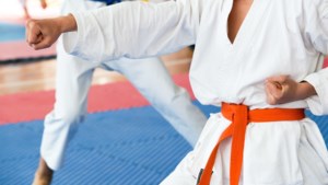 Drie medailles voor karatejeugd Fudoshin Roermond