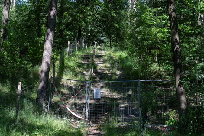 Brunssum trekt 150.000 euro uit om trappen in Schutterspark te vervangen