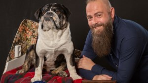 Preparateur uit Venlo wint Europees kampioenschap met opgezette hond familie Meiland