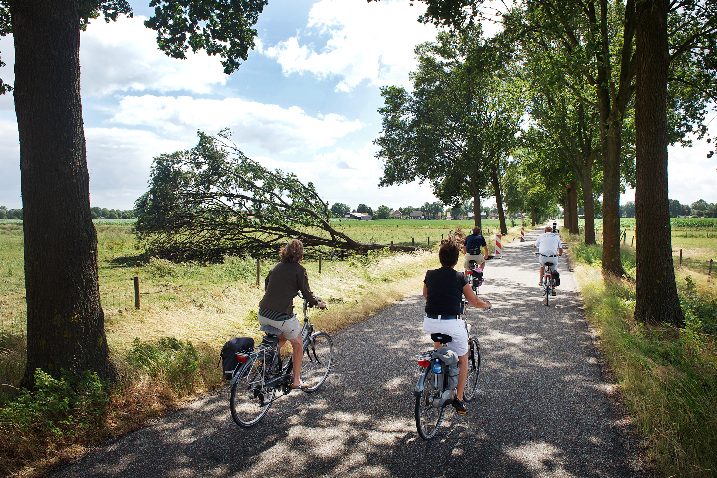 Veilige fietsroute van Nederweert naar Peel lijkt eindelijk in zicht - De Limburger