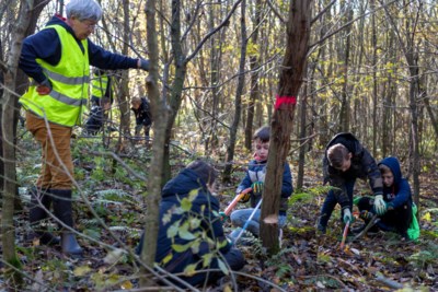 Scholieren zagen jonge boompjes om in bos Munstergeleen: ‘Soms moeten we de natuur een handje helpen’