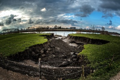 Onderzoek: vegetatie langs de Grensmaas zorgde tijdens hoogwater nauwelijks voor hoger waterpeil