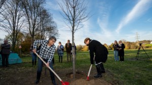 Start aanleg van Herdenkingsbos in Meerssen gemarkeerd met het planten van een Koningslinde voor vroegere burgervader Jan Mans