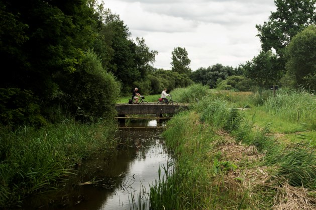 Natuurmonumenten steekt grondwal door voor nattere natuur bij Swartbroek