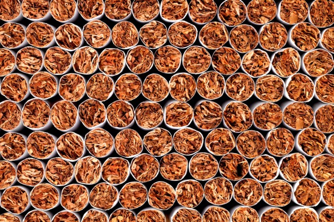 Hoe hoger de accijns, hoe lucratiever het produceren van illegale sigaretten is