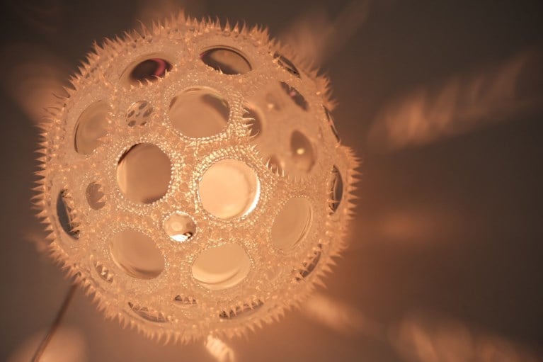 Expositie “Lichtwesen”