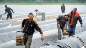 Hoe wordt Limburg aantrekkelijk voor arbeidsmigranten?