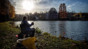Meer hengelaars in Limburg: goed nieuws voor de sportvisserij, maar ook voor de vis?