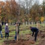 188 bomen vormen nieuw levensbomenbos en levensbomenlaan in Kerkrade