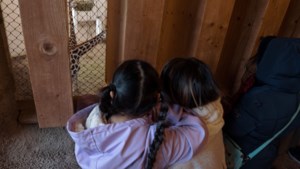 Dagje dierentuin voor asielzoekers: ‘Stel dat je zelf in zo’n situatie terecht komt, dan zou je blij zijn met afleiding’