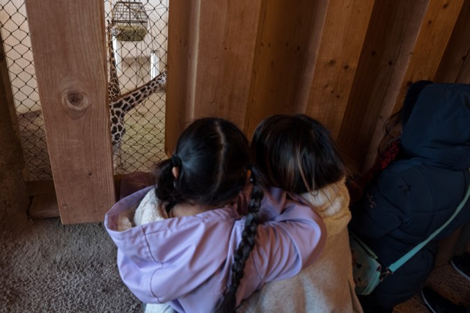 Dagje dierentuin voor asielzoekers: ‘Stel dat je zelf in zo’n situatie terecht komt, dan zou je blij zijn met afleiding’