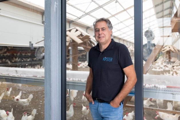 Kippenboer verbetert de wereld met nepbomen en misbaksels - De Limburger