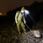 Overvloed aan zwijnen in Ell, maar zeker geen prijsschieten tijdens een nachtelijke jacht