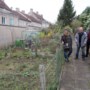 Samen tuinieren brengt bewoners van deze straat in Maastricht dichter bij elkaar